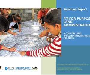 Summary Report