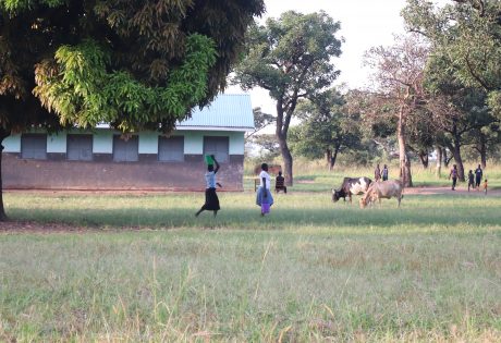 Wanduku Primary School in Pajule sub county, Pader district in North Uganda Photo: UN Habitat/Grace Kibunja