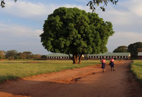 Two girls walking home from school in Pajule sub county, Pader district in North Uganda 
Photo: UN Habitat/Grace Kibunja