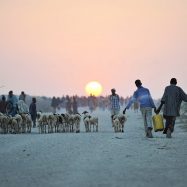 Jowhar IDP Camp in Somalia