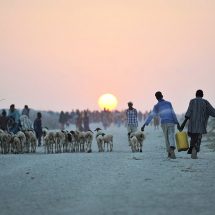 Jowhar IDP Camp in Somalia