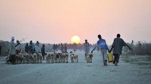 Jowhar IDP Camp in Somalia