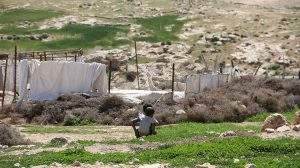 Bedouins in Massafer Yatta area, Hebron, Photo: UN-Habitat (2015)